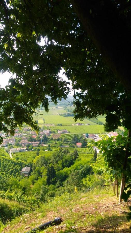 Seven Suites Pieve ピエーヴェ・ディ・ソリーゴ エクステリア 写真