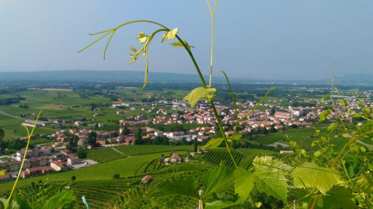 Seven Suites Pieve ピエーヴェ・ディ・ソリーゴ エクステリア 写真